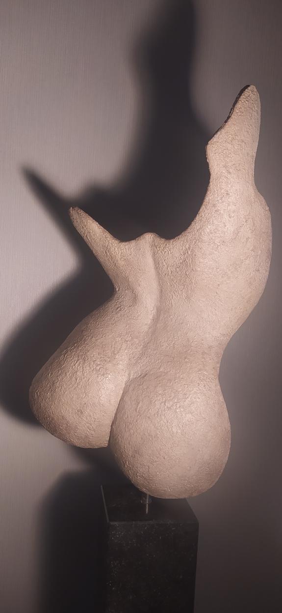 Frauen Torso