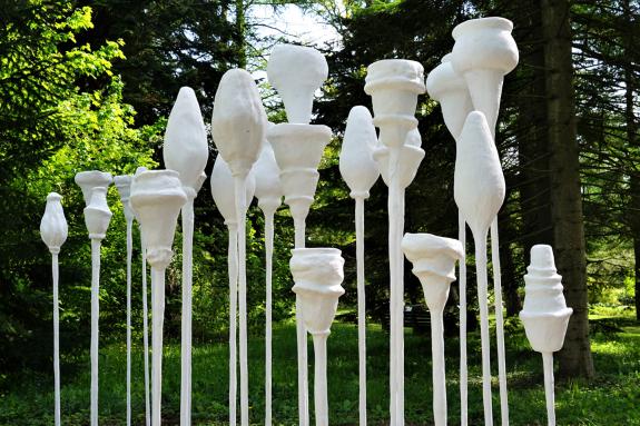 Wachsen - Werden - Vergehen