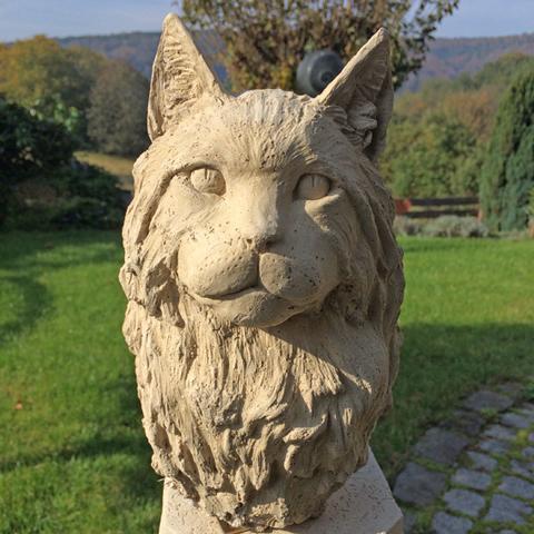Katzenbüste "MaineCoon"